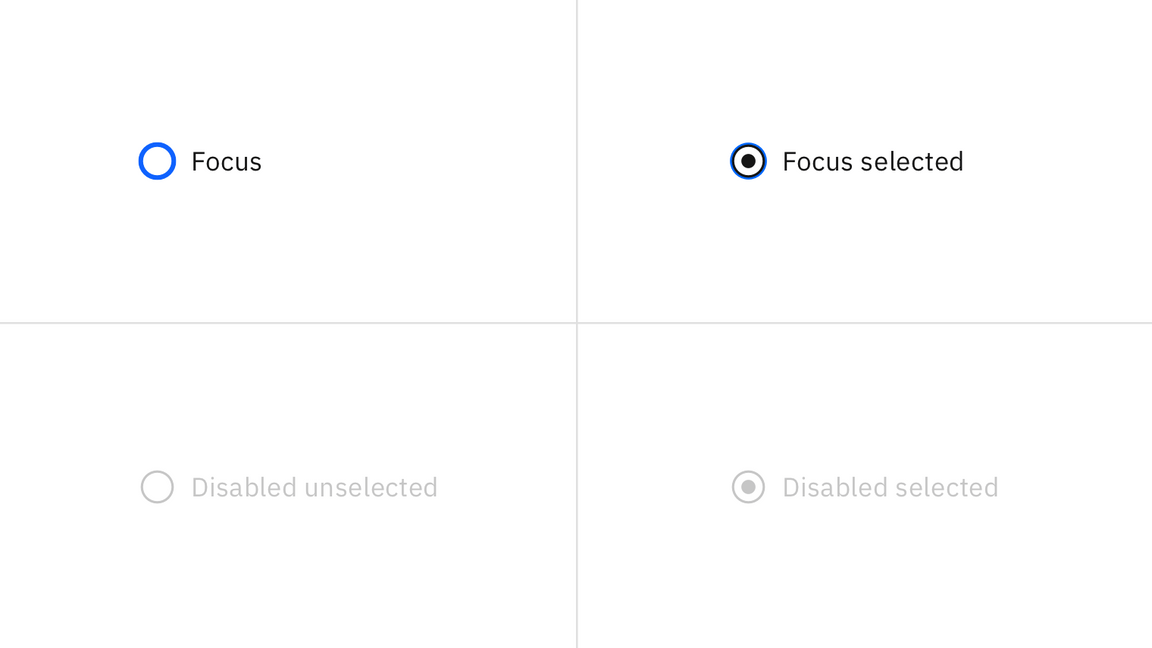Examples of focus states and disabled states Examples of focus states and disabled states